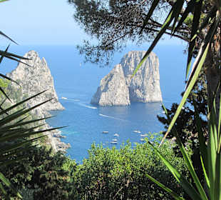 Blick von der Terrasse