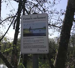 Sport- und Freizeitpark Markwasen