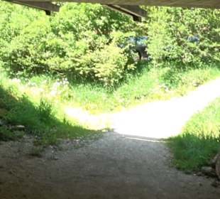 Premiumwanderweg Hochgehschätzt