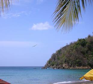 Castara Beach