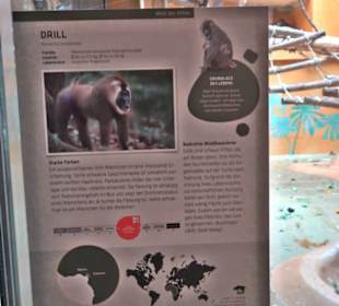 Tierpark Hellabrunn - Welt der Affen