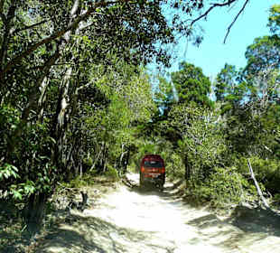 Fraser Island