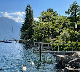 Hafen Montreux