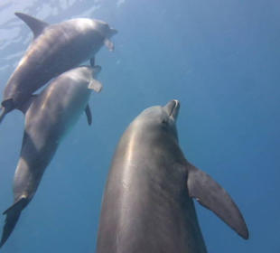 Auf geht es zum Spielen