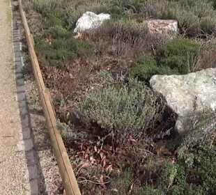 Bürgerpark Offenburg