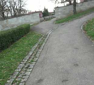 Friedhof Neckarhausen