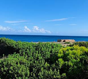 Wandern Can Picafort