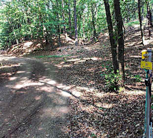 Im Koglwald oberhalb von Tieschen