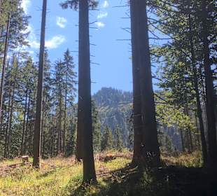 Wandern Murnau am Staffelsee