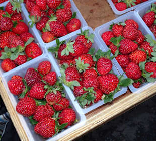 Rundgang über den Marché forain du Front de Mer