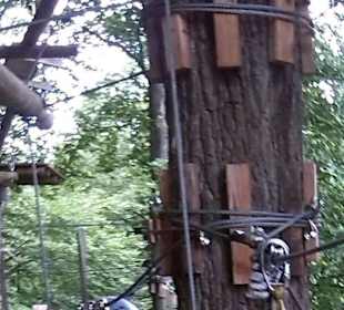 Fun Forest AbenteuerPark Homburg in Homburg