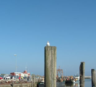 Hafen