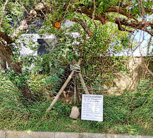 Naturschutzgebiet Graswarder