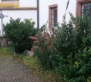 Kath. Stadtkirche St. Laurentius
