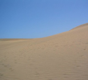 Dünen von Maspalomas