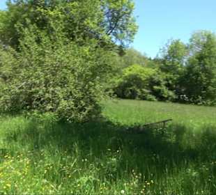 Kalktuff-Lehrpfad