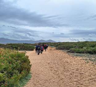 Wandern Can Picafort