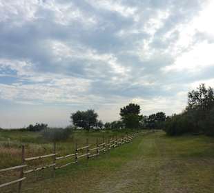 Für nette Spaziergänge