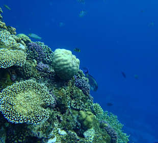 Einfach schönes Riff