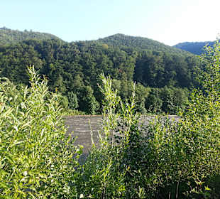 Valea Mureșului / Mureș-Tal 