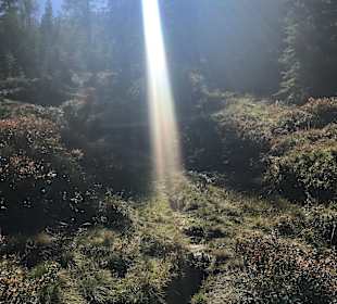 Wandern Mühlbach