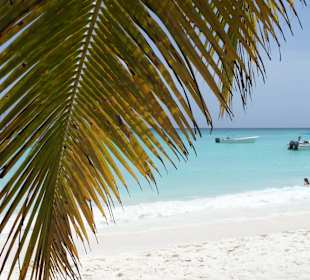 Insel Saona