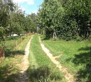 Hochgehnießen - Premiumspazierwanderweg