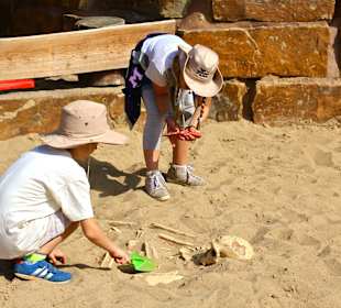 Neandertaler Ausgrabung