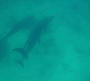 Blue Hole Aqua Center Hotel Menaville