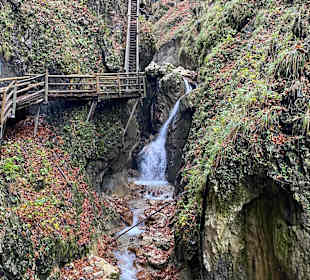 Dr. Vogelgesang-Klamm