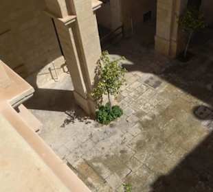 Naturhistorisches Museum