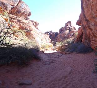 Im Valley of Fire unterwegs