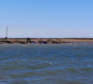 Bootstour Ria Formosa