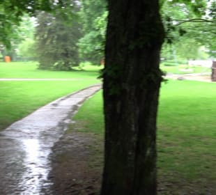 Wanderung rund um den Stadtsee