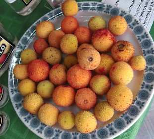 Früchte vom Erdbeerbaum essbar, in Monchique