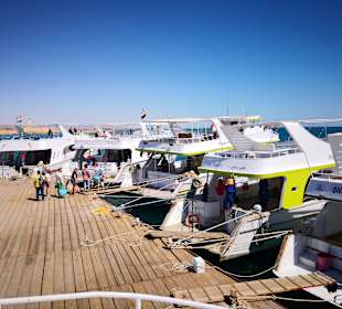 Schnorcheln Sahl Hasheesh