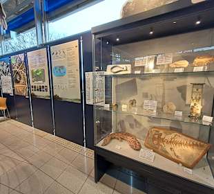 Geoskop in Thallichtenberg