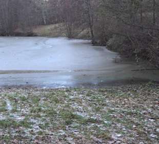 Ochsenweiher Rundweg