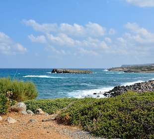Ein paar Inspirationen von unserer Strandwanderung
