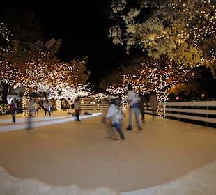 Freies Eislaufen am Zürichsee