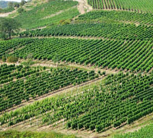 Ausblick von der Seilbahn Rüdesheim