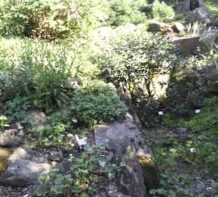 Botanischer Garten