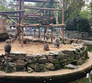 Zoologischer Garten Köln