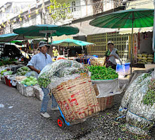Sackkarren sind das Transportmittel