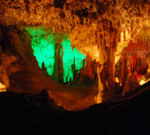 Ein traumhafter Anblick