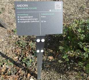 Kräuter Hinweistafel