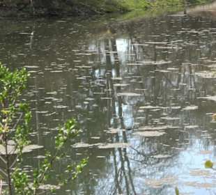 Totenbachsee