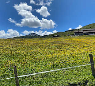 Wandern Ridnaun Ratschings