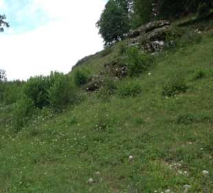 Premiumwanderweg "hochgehackert"