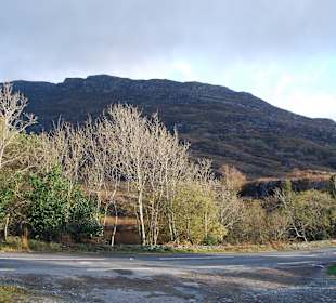 Park Narodowy Killarney